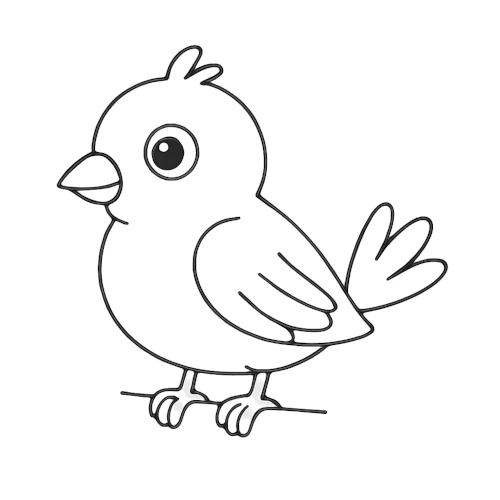 Pájaros